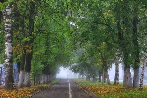 Outono Paisagem Manhã Nevoeiro Beco Parque Cidade Paisagem Nebulosa Cidade — Fotografia de Stock