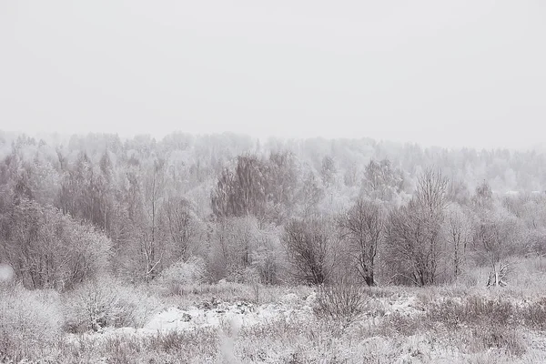 ロシアの村 冬の風景 ロシアの森 州の雪に覆われた木々の冬 — ストック写真