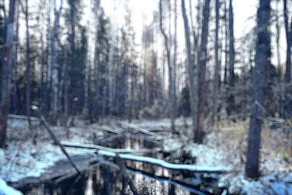 Αφηρημένο Δάσος Θολές Κάθετες Γραμμές Χειμωνιάτικο Φόντο Δάσους Αφηρημένο Τοπίο — Φωτογραφία Αρχείου