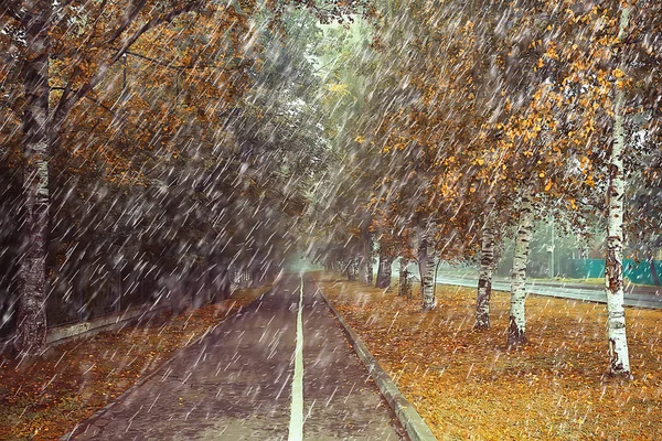 Jesienny Deszcz Parku Jesienny Krajobraz Pogoda Deszczu Spadek Liści Październiku — Zdjęcie stockowe