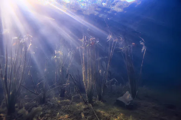 湖沼水中風景抽象 ブルー透明水 エコ自然保護水中 — ストック写真