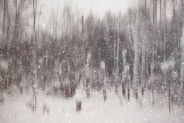 Foresta Neve Sfocata Sfondo Paesaggio Invernale Foresta Innevata Alberi Rami — Foto Stock