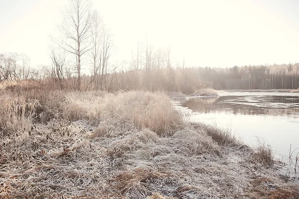 Paesaggio Invernale Nella Foresta Tempo Nevoso Gennaio Bellissimo Paesaggio Nella — Foto Stock