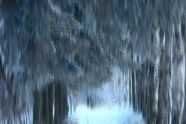 Abstrakt Skog Suddig Vinter Vertikala Linjer Vinter Skog Bakgrund Abstrakt — Stockfoto