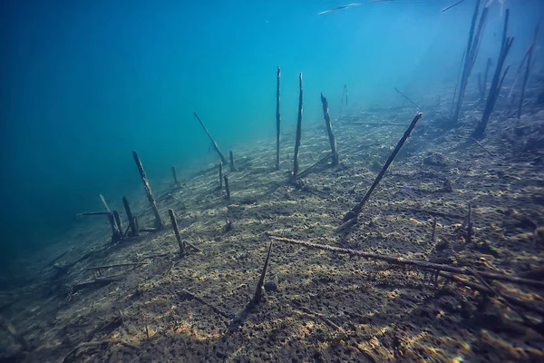 disaster ecology river underwater / landscape pollution ecology underwater