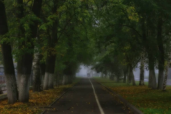 Verano Parque Ciudad Niebla Hermoso Paisaje Ciudad —  Fotos de Stock