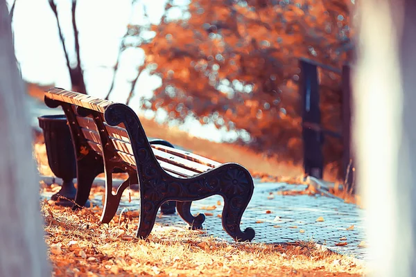 景观在秋季公园长凳 美丽的花园长凳 休息的概念 没有人在秋季公园 景观背景 — 图库照片