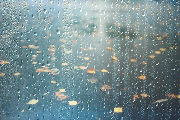背景濡れたガラスは 公園の秋 濡れた窓から秋の公園の風景の眺め 秋の日の雨の天気の概念 — ストック写真
