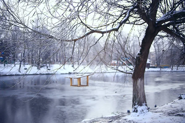 Parque Invierno Paisaje Urbano Invierno Clima Paisaje Nieve Ciudad Árboles —  Fotos de Stock