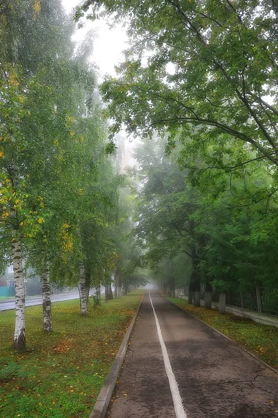 Autumn Landscape Morning Fog Alley City Park Misty Landscape City — Stock Photo, Image