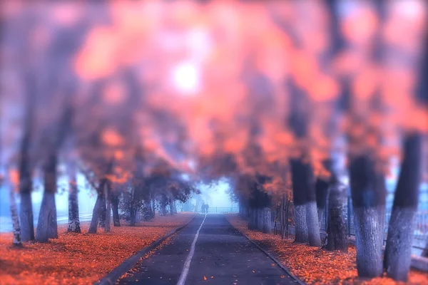 Otoño Paisaje Mañana Niebla Callejón Parque Ciudad Paisaje Brumoso Ciudad —  Fotos de Stock