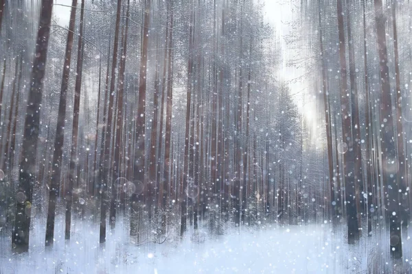 Foresta Neve Sfocata Sfondo Paesaggio Invernale Foresta Innevata Alberi Rami — Foto Stock