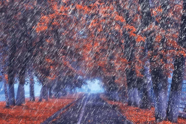 Őszi Eső Parkban Őszi Táj Időjárás Esőben Lombhullás Októberi Városi — Stock Fotó