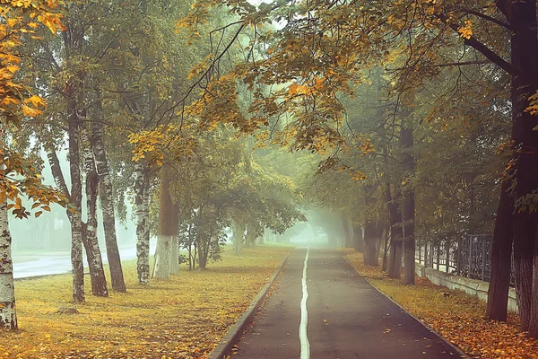 Jesienny Krajobraz Rano Mgle Aleja Parku Miejskim Mglisty Krajobraz Mieście — Zdjęcie stockowe