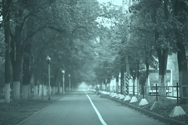 Herfst Landschap Ochtend Mist Steegje Het Stadspark Mistig Landschap Stad — Stockfoto