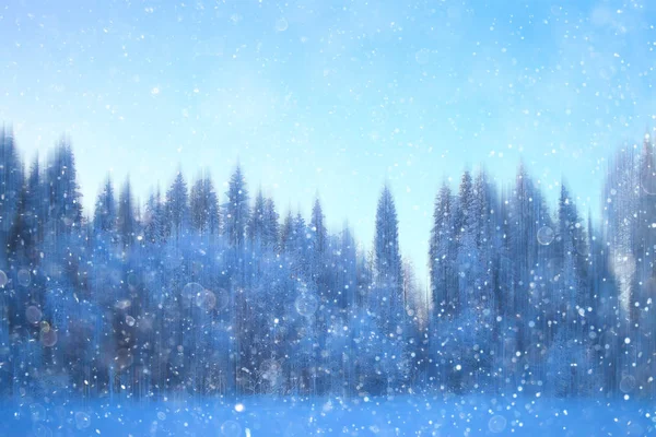 Лісовий Сніг Розмитий Фон Зимовий Пейзаж Засніжений Ліс Дерева Гілки — стокове фото
