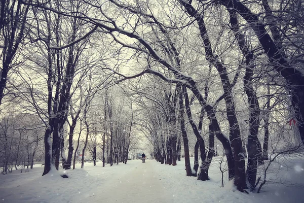 Абстрактный Фон Зимний Лес Ветви Деревьев Покрытые Морозом Снежная Погода — стоковое фото