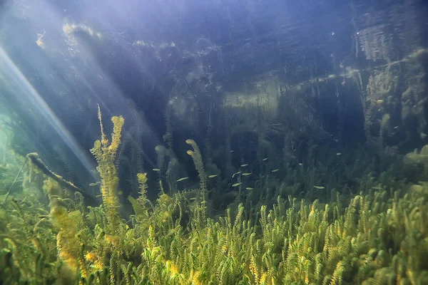 See Unterwasserlandschaft Abstrakt Blaues Transparentes Wasser Öko Naturschutz Unter Wasser — Stockfoto