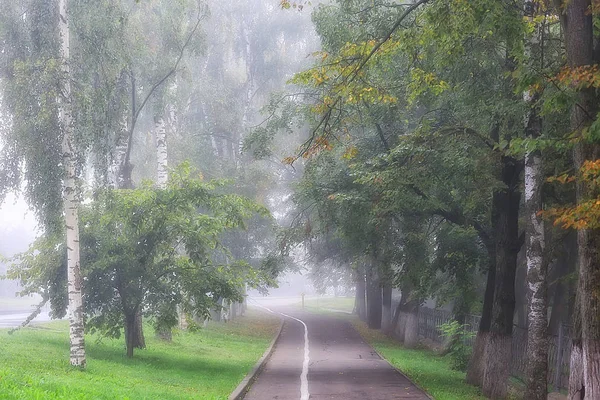 秋天的风景早晨在雾 胡同在城市公园 雾风景在城市 树在城市 — 图库照片