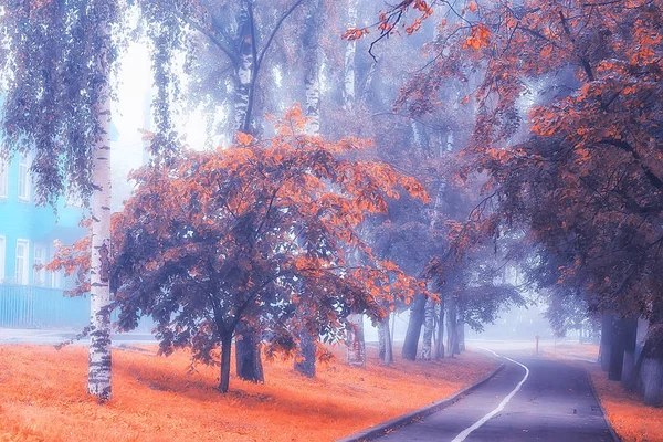 Autunno Paesaggio Mattina Nella Nebbia Vicolo Nel Parco Cittadino Paesaggio — Foto Stock