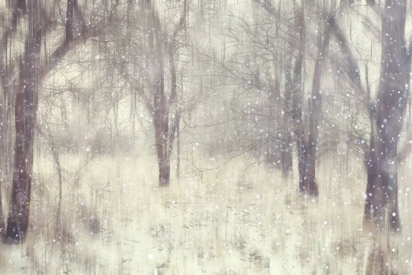 Foresta Neve Sfocata Sfondo Paesaggio Invernale Foresta Innevata Alberi Rami — Foto Stock