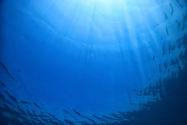 Oceano Água Azul Fundo Debaixo Água Raios Sol Abstrato Azul — Fotografia de Stock