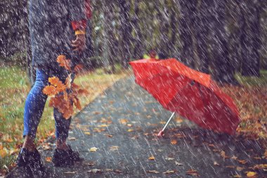Yaprak Sonbahar Sonbahar/Park, konsept sonbahar melankolik Mood yürüyüş tek bir kız elinde sarı yaprakları düşmüş