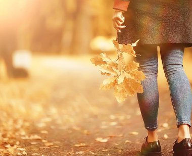 Yaprak Sonbahar Sonbahar/Park, konsept sonbahar melankolik Mood yürüyüş tek bir kız elinde sarı yaprakları düşmüş