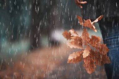 sonbahar manzarası, bir kız parkta yürüyor/sarı yaprakları, sonbahar Parkı, yalnız bir kız sonbahar parkında dinleniyor