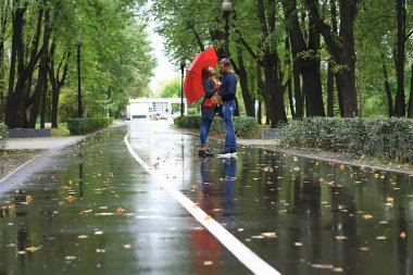 bir şemsiye altında iki kişi/bir erkek ve bir kadın bir şemsiye ile bir parkta yürüyüş, yağmur sonbaharda yürüyüş, bir sonbahar şemsiyesi