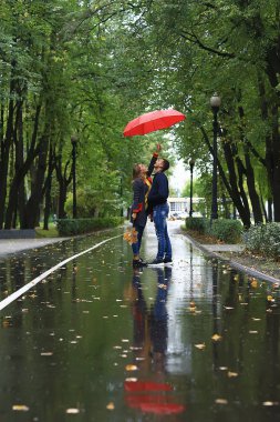 bir şemsiye altında iki kişi/bir erkek ve bir kadın bir şemsiye ile bir parkta yürüyüş, yağmur sonbaharda yürüyüş, bir sonbahar şemsiyesi