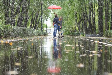 Sonbahar parkında yağmur/genç 25 yaşında çift adam ve kadın ıslak yağmurlu havalarda bir şemsiye altında yürümek, Ekim severler yürümek