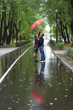 bir şemsiye altında iki kişi/bir erkek ve bir kadın bir şemsiye ile bir parkta yürüyüş, yağmur sonbaharda yürüyüş, bir sonbahar şemsiyesi