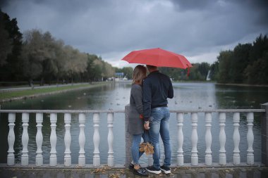 Sonbahar parkında yağmur/genç 25 yaşında çift adam ve kadın ıslak yağmurlu havalarda bir şemsiye altında yürümek, Ekim severler yürümek