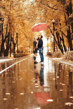 bir şemsiye altında iki kişi/bir erkek ve bir kadın bir şemsiye ile bir parkta yürüyüş, yağmur sonbaharda yürüyüş, bir sonbahar şemsiyesi