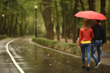 Sonbahar parkında yağmur/genç 25 yaşında çift adam ve kadın ıslak yağmurlu havalarda bir şemsiye altında yürümek, Ekim severler yürümek