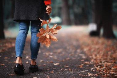 sonbahar manzarası, bir kız parkta yürüyor/sarı yaprakları, sonbahar Parkı, yalnız bir kız sonbahar parkında dinleniyor