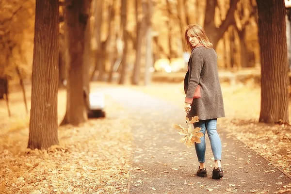 Vedere Toamnă Fată Merge Parc Frunze Galbene Parc Toamnă Fată — Fotografie, imagine de stoc