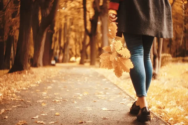 Vista Autunnale Una Ragazza Cammina Nel Parco Foglie Gialle Parco — Foto Stock