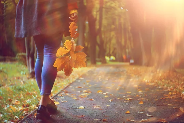 Foglia Autunno Autunno Foglie Gialle Cadute Nelle Mani Una Sola — Foto Stock