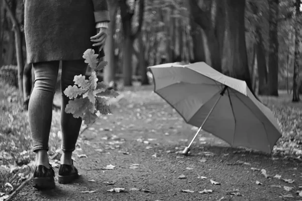 Podzimní Výhled Lidé Parku Pozadí Podzimních Stromů Nádherná Podzimní Koncepce — Stock fotografie