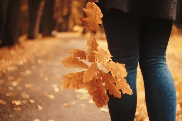 Φύλλο Φθινόπωρο Φθινόπωρο Πεσμένα Κίτρινα Φύλλα Στα Χέρια Ενός Μοναδικού — Φωτογραφία Αρχείου
