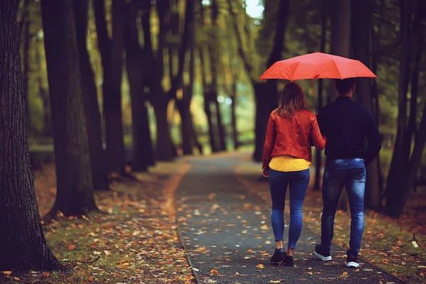 两个人在伞下 一男一女拿着伞走在公园里 在雨中走在雨中 一把秋伞 — 图库照片