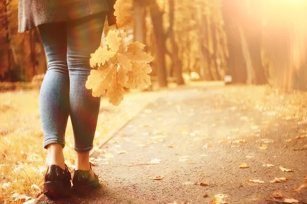 Foglia Autunno Autunno Foglie Gialle Cadute Nelle Mani Una Sola — Foto Stock