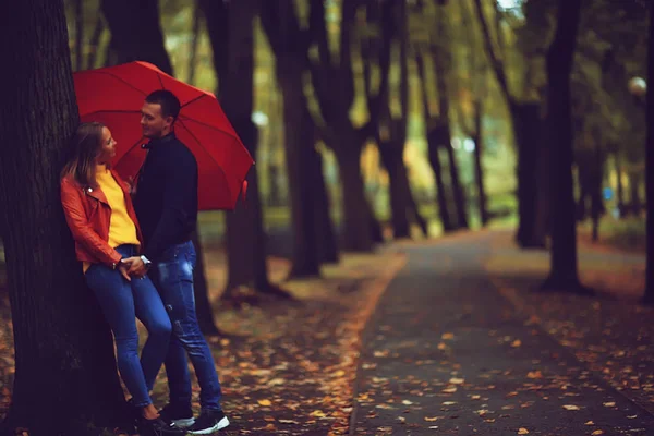 Два Человека Зонтиком Мужчина Женщина Гуляют Парке Зонтиком Гуляя Осенью — стоковое фото