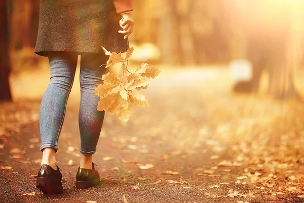 Liść Jesienią Jesień Spadł Żółty Liści Rękach Jednej Dziewczyny Chodzenie — Zdjęcie stockowe