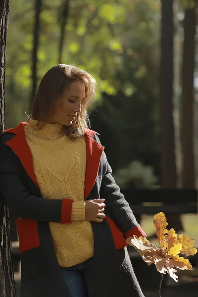 가을의 소녀는 공원에서 외로운 소녀는가을 공원에서 있습니다 — 스톡 사진