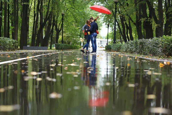 two people under an umbrella / a man and a woman are walking in a park with an umbrella, walking in the fall in the rain, an autumn umbrella