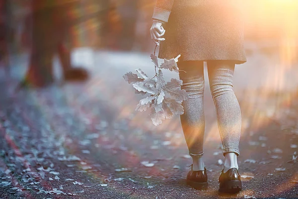 Foglia Autunno Autunno Foglie Gialle Cadute Nelle Mani Una Sola — Foto Stock