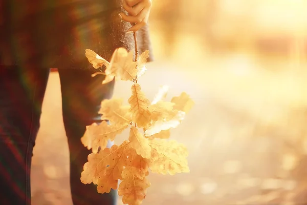 Podzimní Padlé Žluté Listy Rukou Jediné Dívky Parku Koncept Podzimní — Stock fotografie